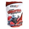 creatina monohidrato frutas del bosque 300gr