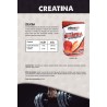 informacion nutricional creatina monohidrato fresa 300G