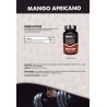 AFRICAN MANGO 100 CAPS ELEVENFIT AFRICAN MANGO 100 CAPS African man...